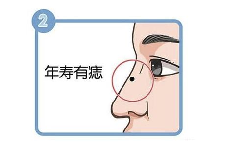 2.2 情感领域的潜在风险