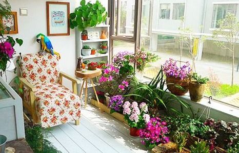 科学研究摆放花卉的原则