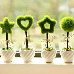 一、 玫瑰花风水禁忌概述：隐忧与潜在风险