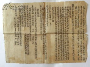 四、 文化素养的重要性：理解经典与传承文化