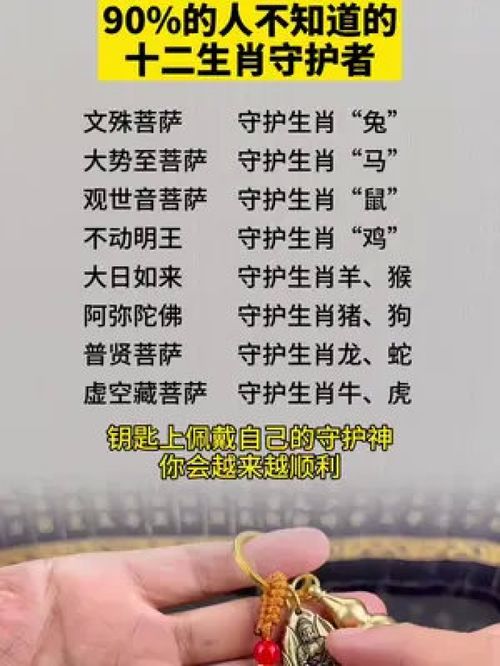 生肖文化：农业社会的智慧结晶