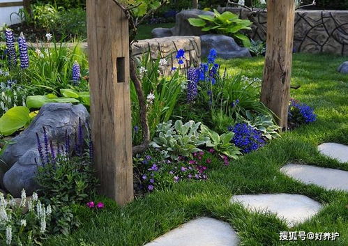 四、 植被布局原则：位置、朝向与形态的综合考量