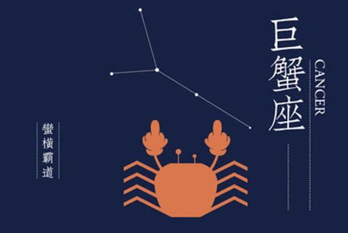 3. 职业与学习方面的表现