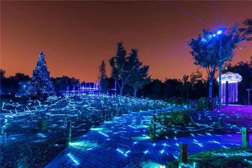 光影艺术与夜间景观的视觉冲击