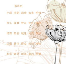 五行学说：平衡与和谐