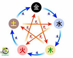 代表品质：聪明、 灵活多变、心胸宽广