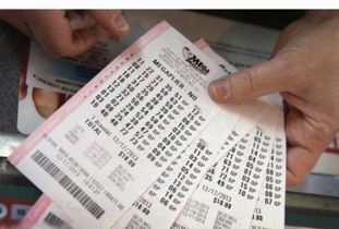 ：关于乐透幸运数字的学术探讨