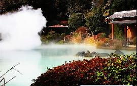 如何成为团购达人？避坑指南奉上!