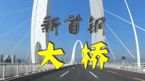 真的是绝绝子！这个全运会到底带火了多少地方啊？