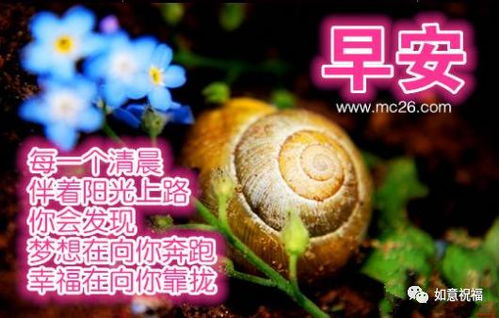 二、 关键词汇分析：从风水元素到旺运旺财语素的系统梳理