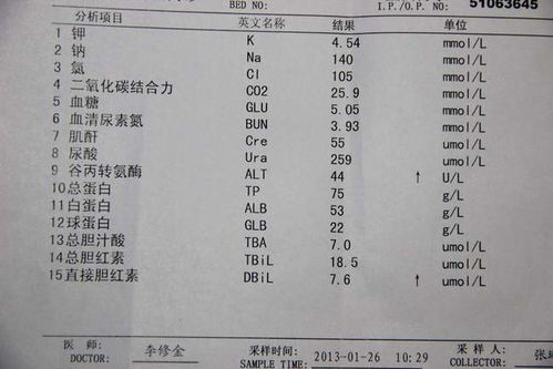 1. 乙肝病毒与内分泌系统：一场悄无声息的战争冲突