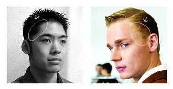 4. 鬓角发浓——福禄双全与人生攀升