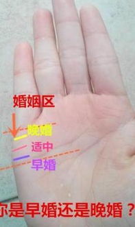 2. 田字纹与口字纹