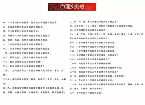 五、 费用考量：经济投入与价值回报之间的平衡