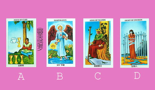 1.1 因对塔罗牌的不瞭解而造成的幻想