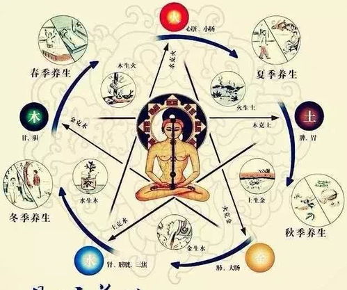 三、 八卦的深刻内涵：宇宙生成与人生哲学的有机结合