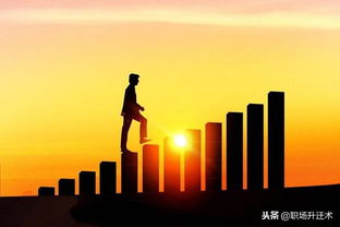 强调分析能力的必要性