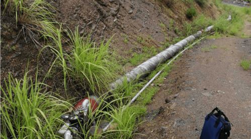 砍树破坏风水，砍树破财如何化解？