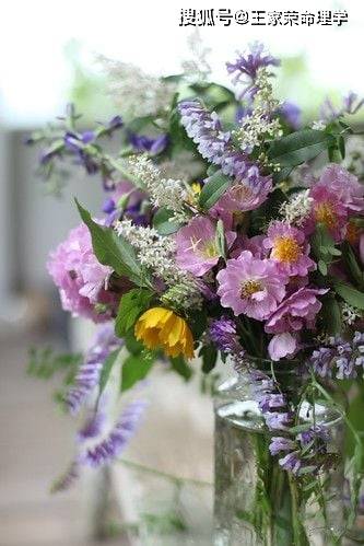 八字互换禄格：一种特殊的命运格局