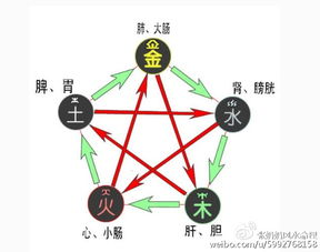 八字过弱五行不缺，五行旺弱分析图如何解读？