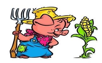 83年属猪大海水命缺金，其最旺年龄是何时？