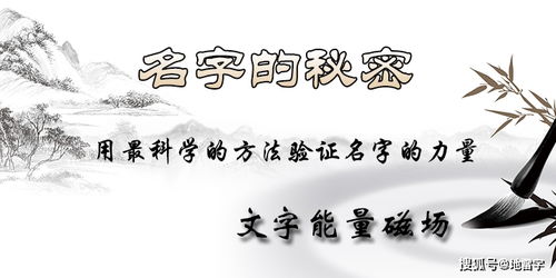 五、 人文性格投射及职业倾向预测