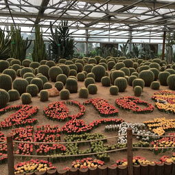 2. 市场布局：迷宫般的花海