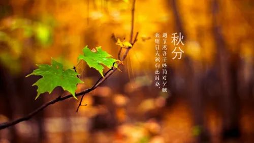 秋分竖鸡蛋的寓意是什么秋分有哪些特殊的风俗习惯呢？