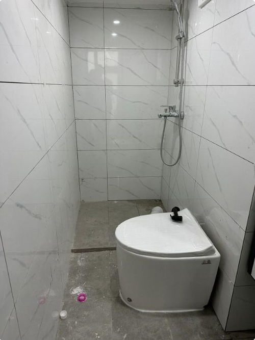 一、 关于“山管人丁，水管财”之理论框架及其在卫生间布局中的具体映射