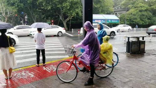 亲子较小红车崭新上线， 带娃出行更轻巧松啦！