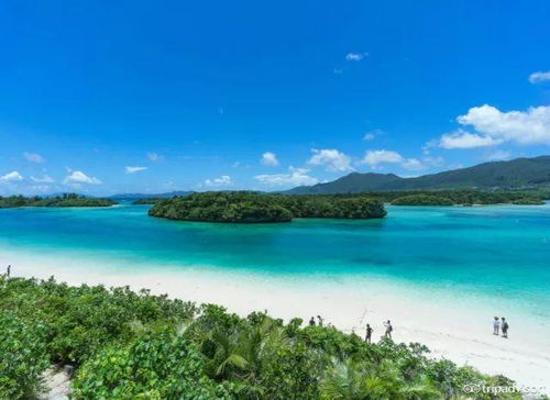 啊！我终于找到了那个地方，简直是人间仙境（大概吧）！