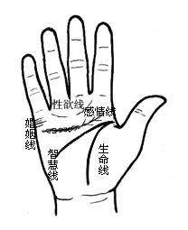 花心与闷骚的手相特征解析