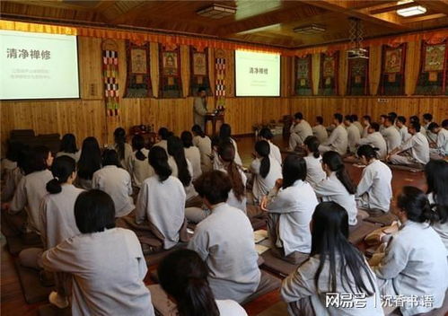 五、  现代化功能性与修持保障：酒店禅修中心的范式转型
