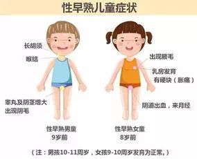 三、 生活方式与周边环境因素的无声侵蚀