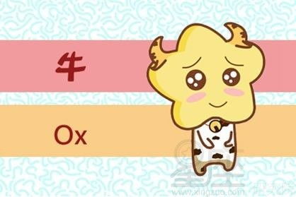 属牛白羊座2026年学业和爱情运势具体如何？