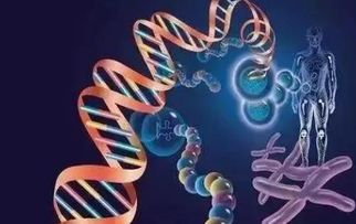 基因视角下的快乐与痛苦