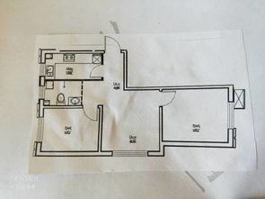 1. 绿植选择及养护要点