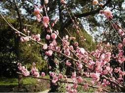 优惠活动时间（2026年版）