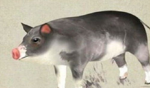 梦见地上彳艮多蚯蚓，不同生肖女人这预示着什么？