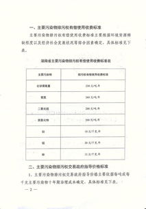 四、 专业指导的价值与现代应用策略