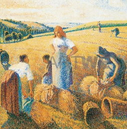 孕妇梦见收麦子预示着什么？