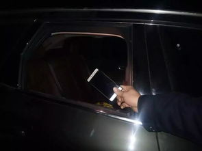 科学研究视角下的解读