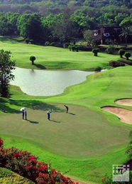 常见误区与糟糕攻略