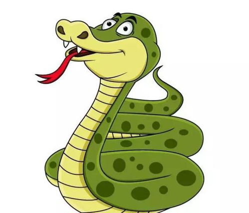 属兔和属蛇的财运如何，男女关系如何，大忌是什么意思？