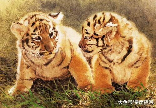 （四）属虎者——如虎添翼， 实现事业腾飞