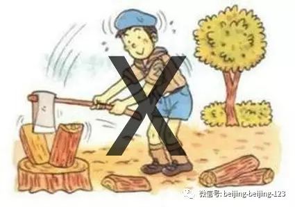 五、 禁忌事项及其文化内涵