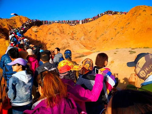 前言：带神兽出笼前的心理建设