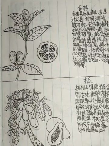 《本草纲目》中的养阴论述