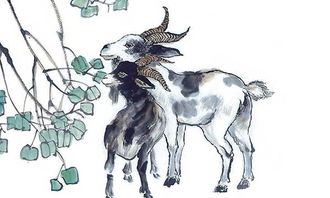 1979年属羊的人2020年运势详解如何？