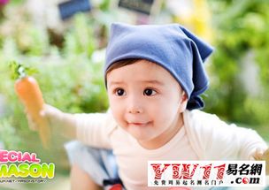 有没有什么女宝宝名字，能像明星一样闪耀如星，寓意美好？